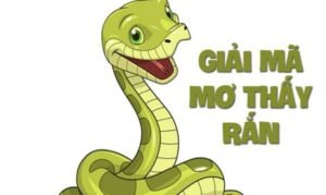 Mơ thấy 3 con rắn