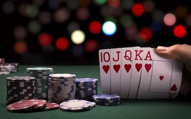 Báo nhân sâm nhanh và chuẩn xác chắc chắn kiếm được bội tiền